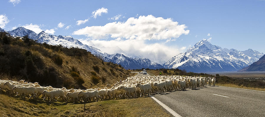 Mount Cook National Park Photograph by Ng Hock How