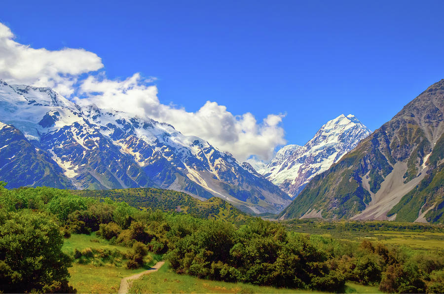 Mount Cook Trailhead Photograph by Harry Strharsky