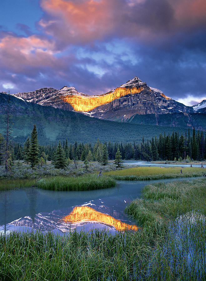 Mount Epaulette Sunset Photograph by Darwin Wiggett