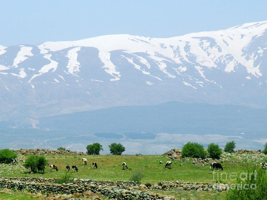 Spring Photograph - Mount Hermon by Issam Hajjar