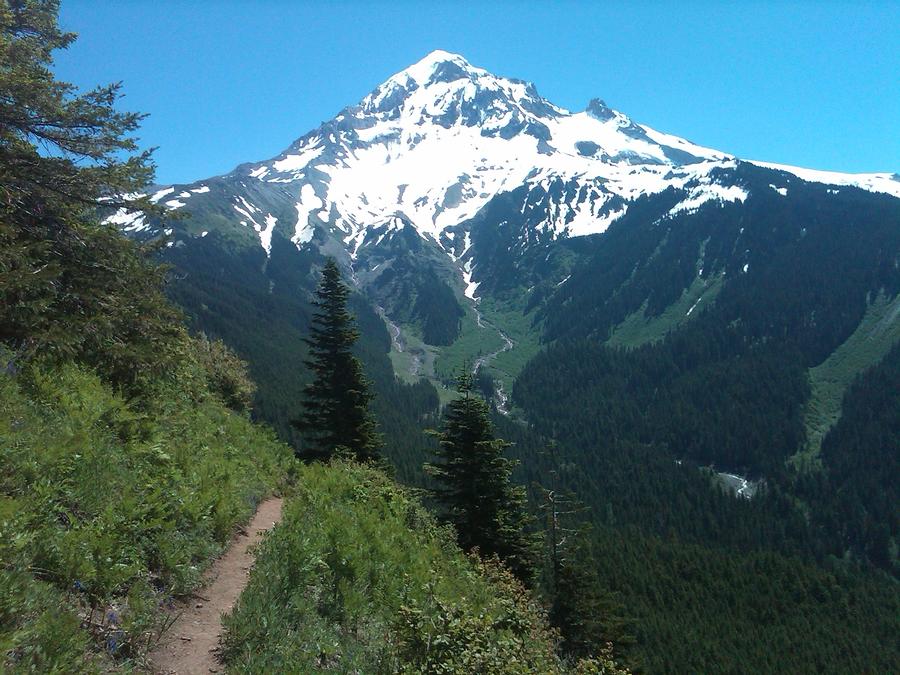 Mount Hood From Bald Mountain Image 1 by Larry Cloud