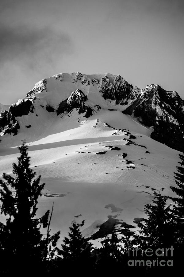 Mount Hood Zig Zag Photograph by Scott Sawyer