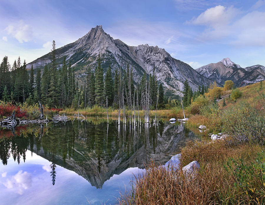Mount Lorette Alberta Canada Photograph by Tim Fitzharris
