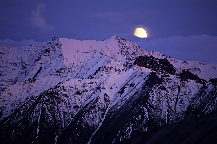 Mount Peaks & Moon At Denali National Park In Alaska Photograph by Michael Melford