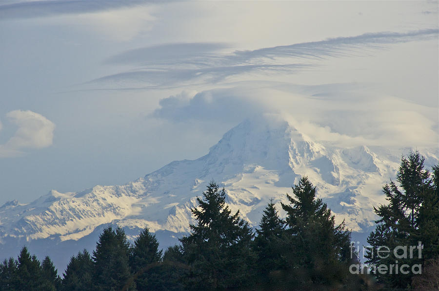Nature Photograph - Mount Rainier After the Storms by Sean Griffin