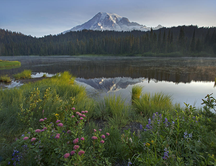 Mount Rainier And Reflection Lake Mount Photograph by Tim Fitzharris