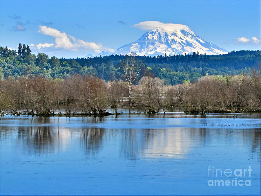 Mount Rainier from Nisqually Delta Photograph by Sean Griffin
