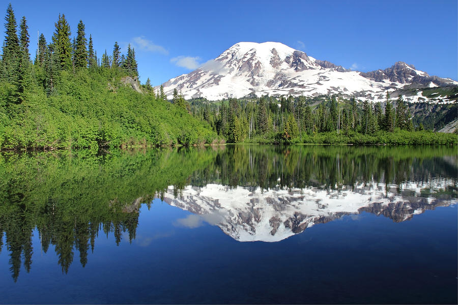 Mount Rainier  Reflected in Bench Lake Photograph by Pierre Leclerc Photography