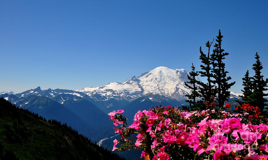 Mount Rainier Seen from Crystal Mountain Summit  2 Photograph by Tatyana Searcy