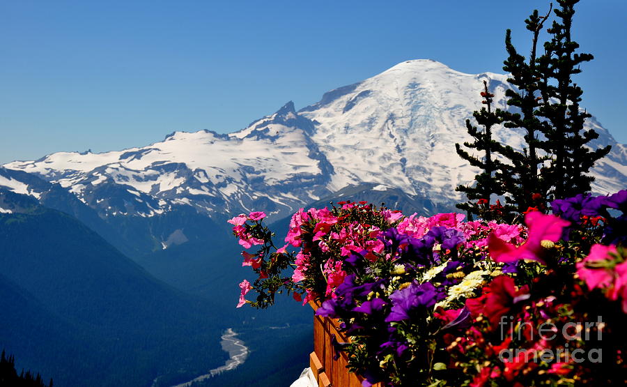 Mount Rainier Seen from Crystal Mountain Summit  3 Photograph by Tatyana Searcy
