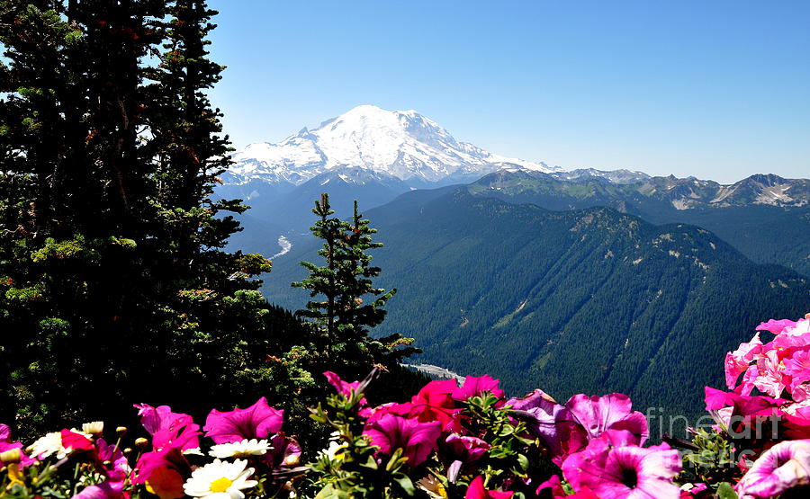 Mount Rainier Seen from Crystal Mountain Summit  5 Photograph by Tatyana Searcy