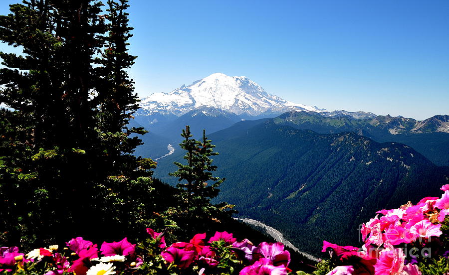 Mount Rainier Seen from Crystal Mountain Summit  6 Photograph by Tatyana Searcy