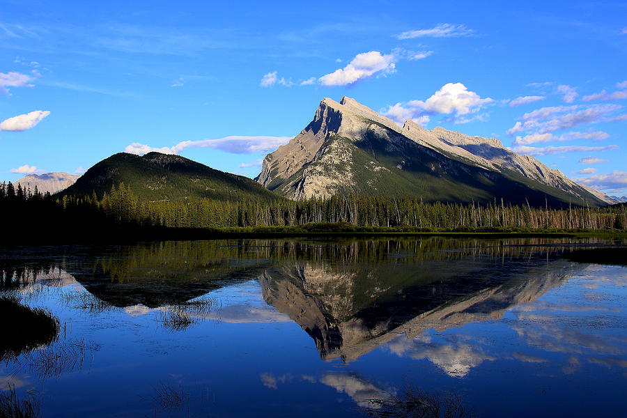 Banff National Park Photograph - Mount Rundle and  Vermillion Lake by Vickie Emms
