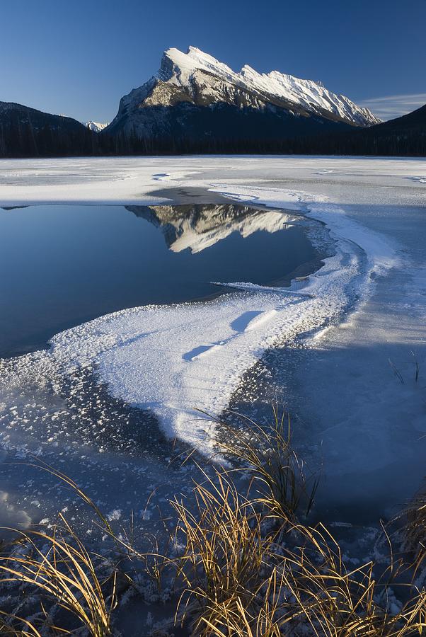 Mount Rundle, Banff National Park Photograph by Philippe Widling