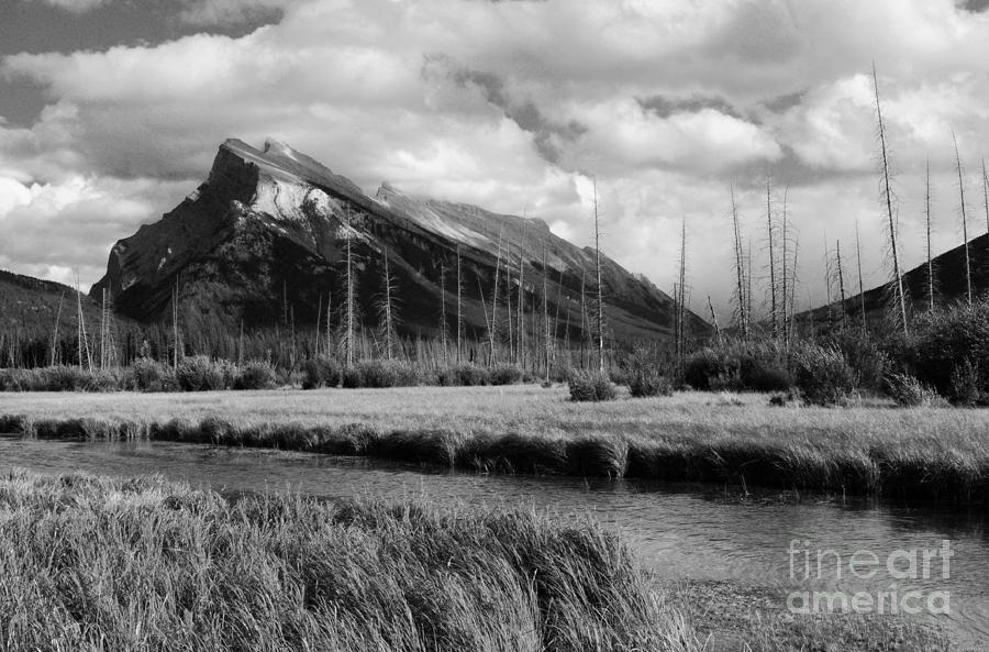 Mount Rundle Banff National Park Photograph by Vivian Christopher