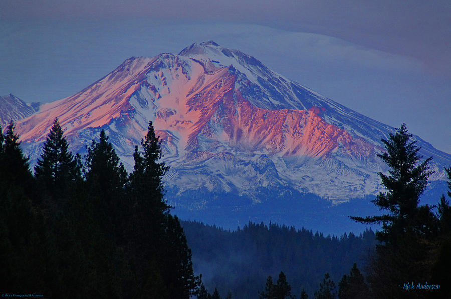 Mount Shasta Winterlight Photograph by Mick Anderson