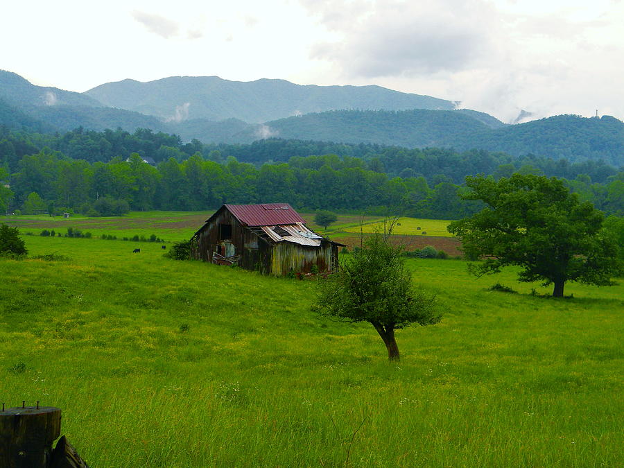 Nature Photograph - Mountain Barn by Cat Rondeau