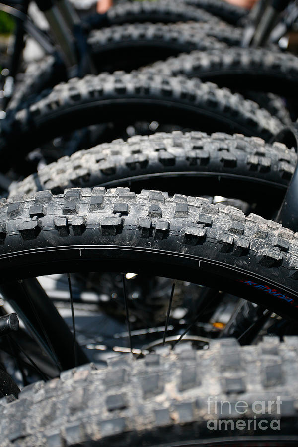 Mountain bike tires Photograph by Gaspar Avila
