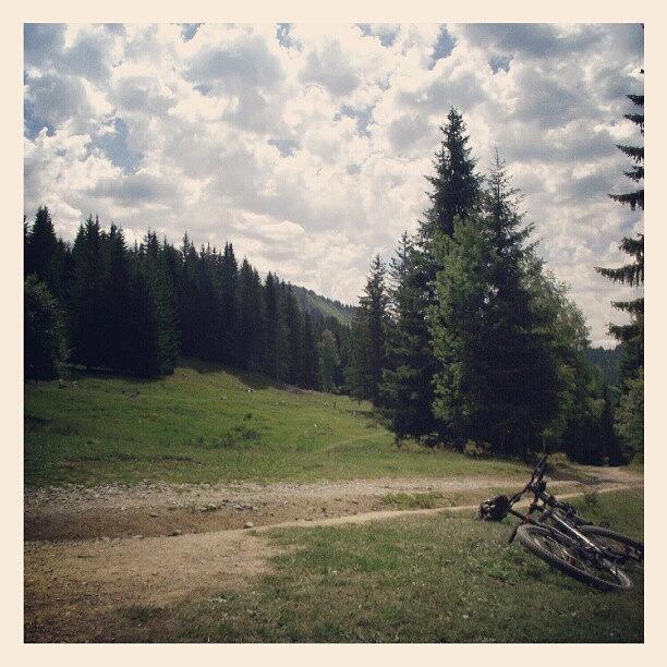 Cute Photograph - Mountain Biking In The Alps by Jack Alsop