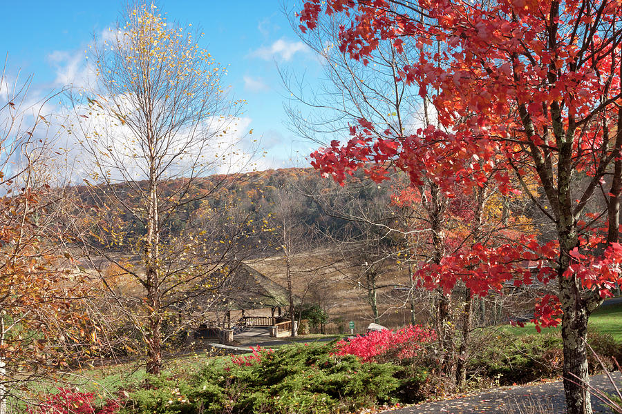 Mountain Lake in Fall 2011 Photograph by James Woody