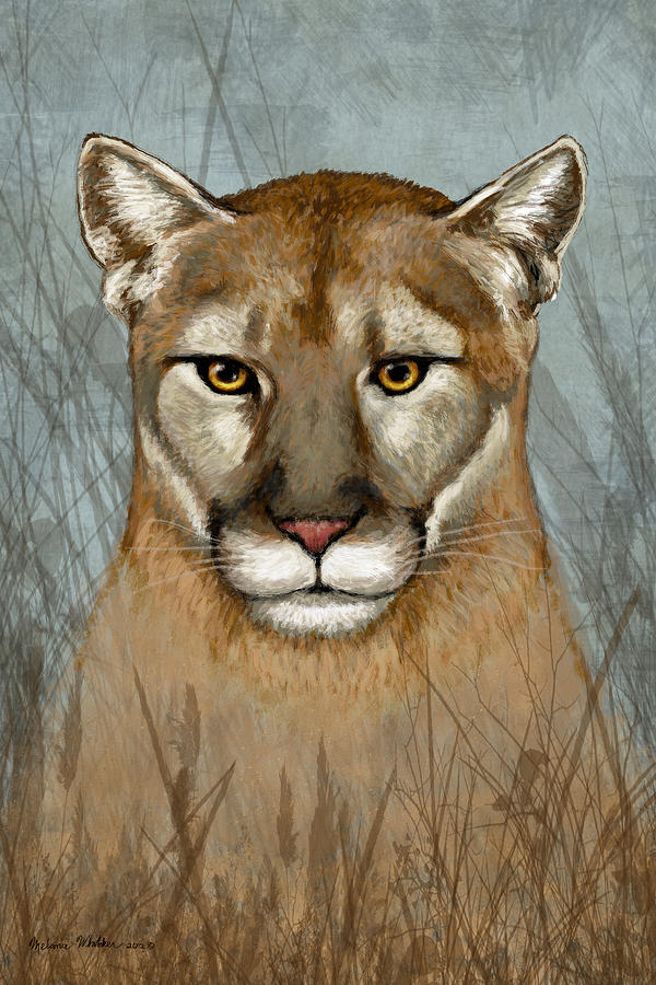 Animal Painting - Mountain Lion by Melanie Whitaker