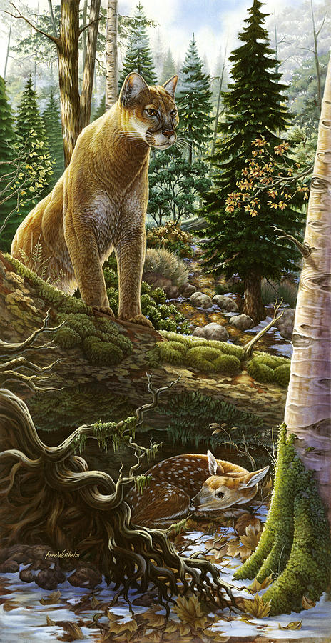 Mountain Lion with Fawn Painting by Anne Wertheim
