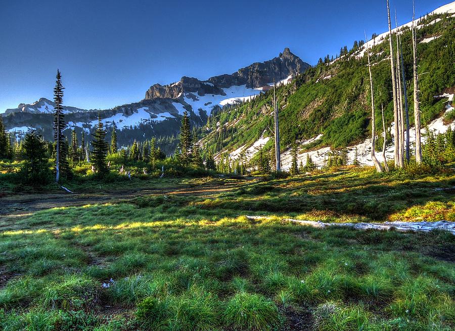 Mountain Meadow Photograph by Peter Mooyman