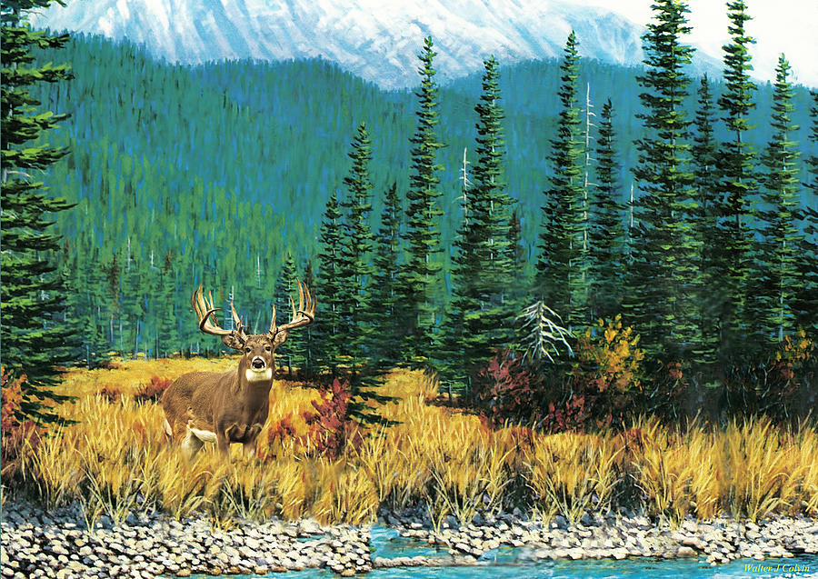 Mountain Mule Deer Digital Art by Walter Colvin