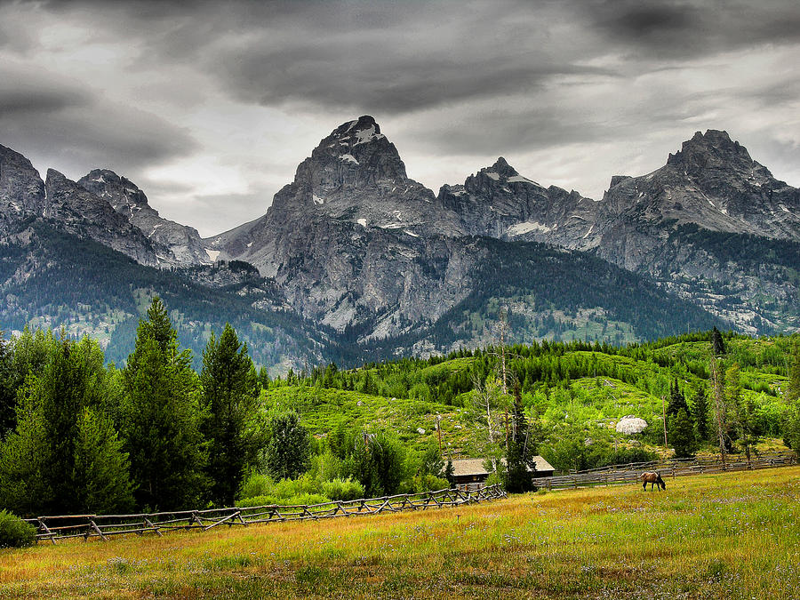 Mountain Pasture Photograph by Steven Ainsworth