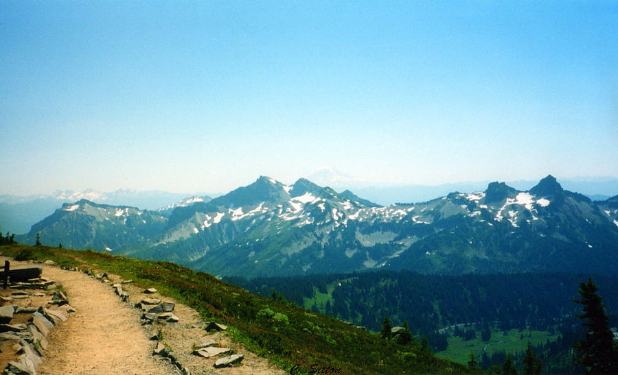 Mountain Path Photograph by C Sitton