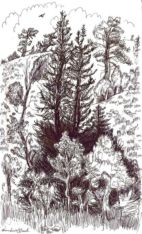 Рисунок тайги карандашом