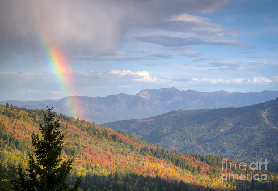 Mountain Rainbow Photograph by Idaho Scenic Images Linda Lantzy
