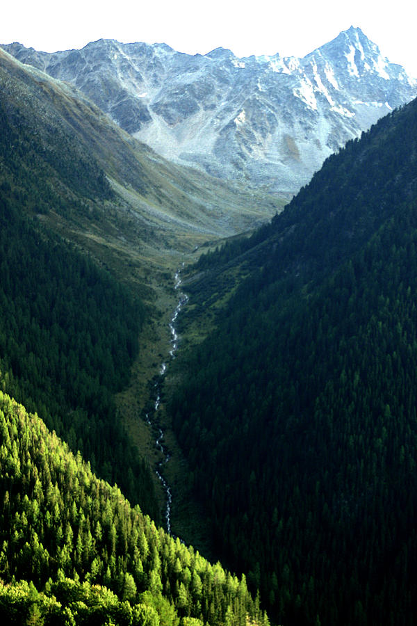 Mountain river in Swiss Alps Photograph by Emanuel Tanjala