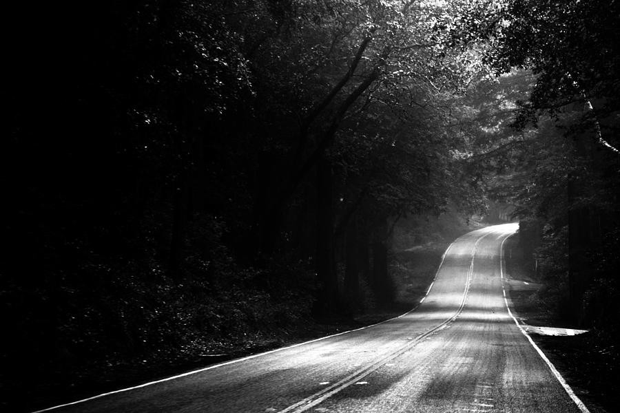 Tree Photograph - Mountain Road II by Matt Hanson