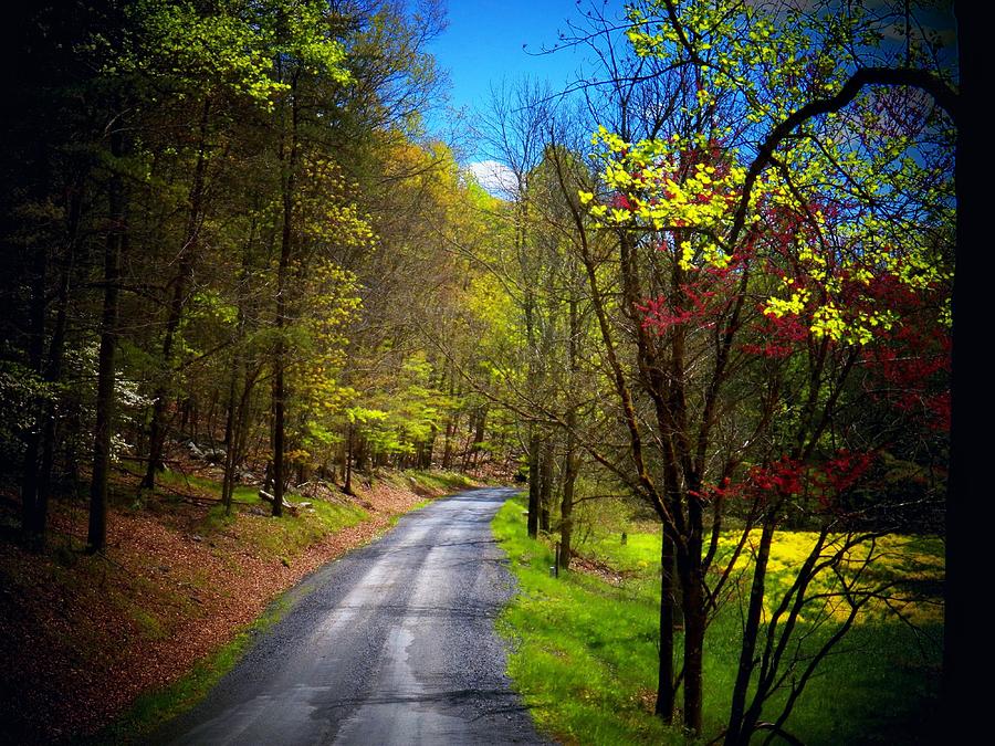 Mountain Road in WV Photograph by Joyce Kimble Smith