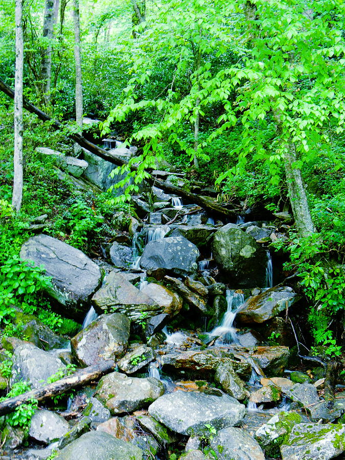 Mountain Photograph - Mountain Stream by Cat Rondeau