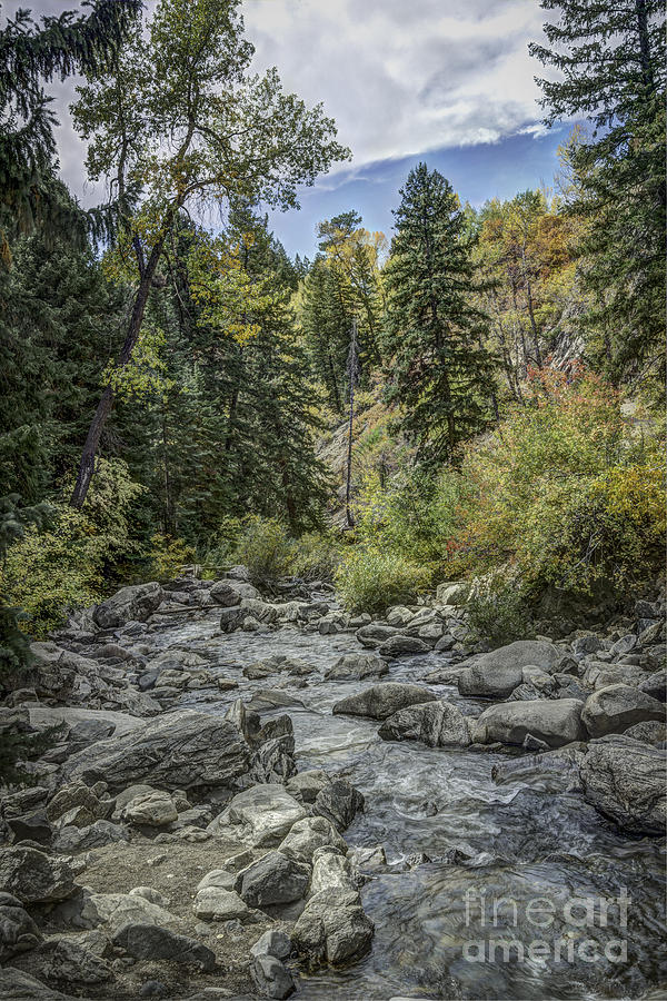 Mountain Stream Photograph by David Waldrop