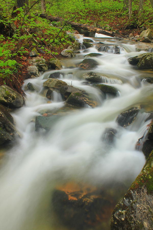Mountain Stream on the Appalachian Trail Green Mountains Photograph by John Burk