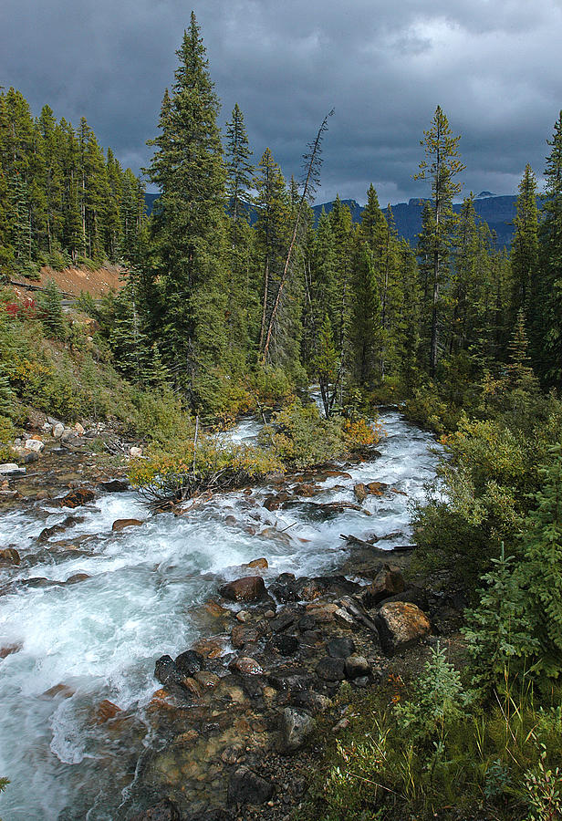 Mountain Stream Photograph by Wade Aiken