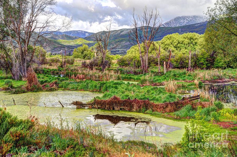 Mountain Valley Marsh - HDR Photograph by Gary Whitton