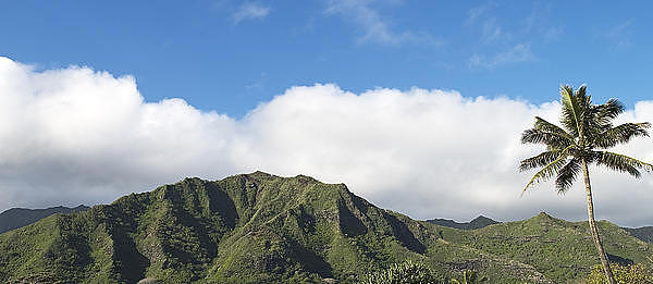 Mountains and Palm Trees on Oahu Island Hawaii Photograph by Brendan Reals