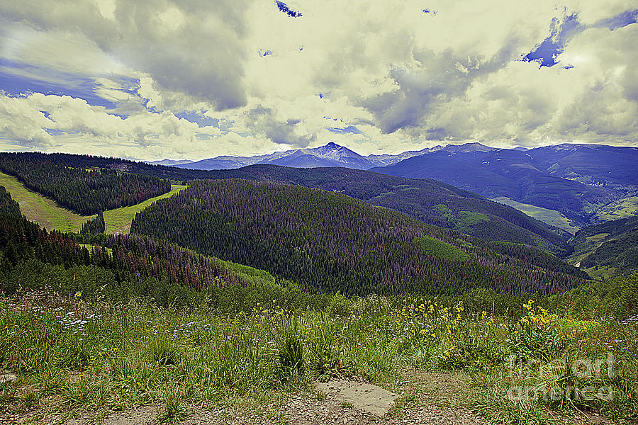 Mountains Beauty - Vail Photograph by Madeline Ellis