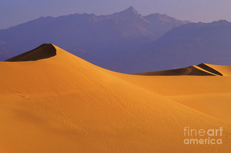 Mountains Of Sand Photograph by Bob Christopher
