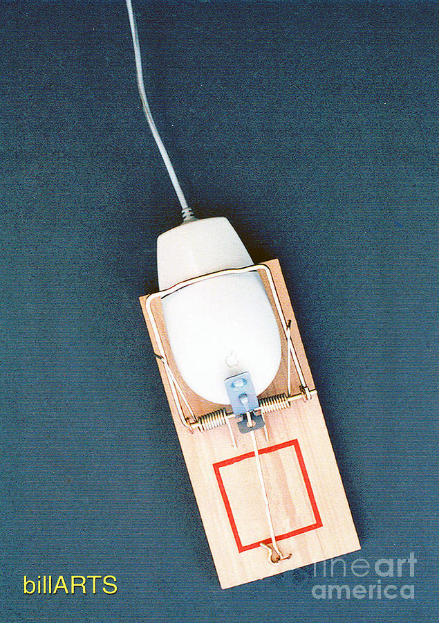 Mouse Trap Photograph by Bill Thomson