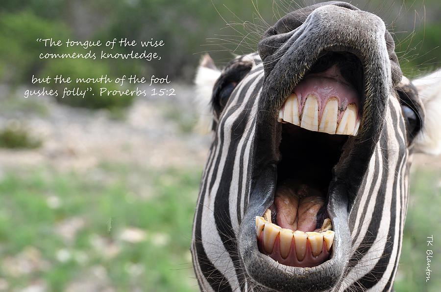 Wildlife Photograph - Mouth of the Fool by Teresa Blanton