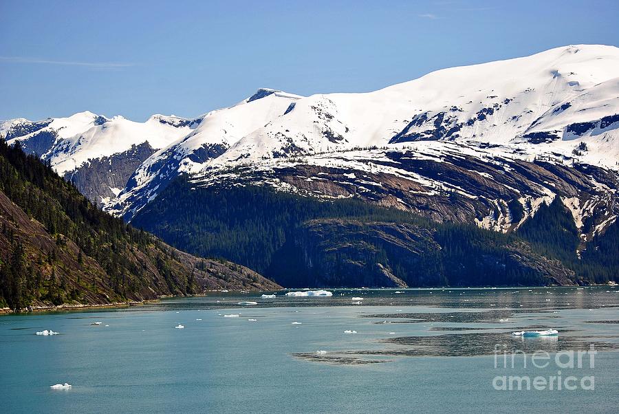 Mouth to Dawes Glacier Photograph by Frank Larkin
