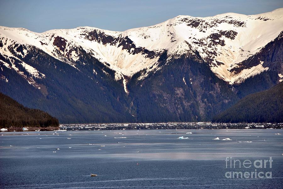 Mouth to Tracy Arm Fjord Photograph by Frank Larkin