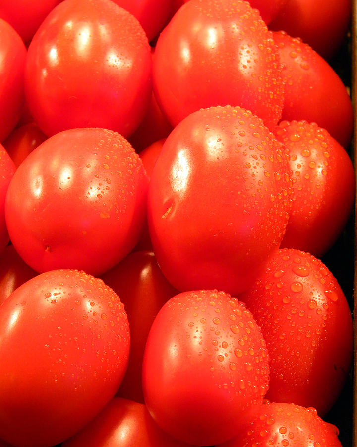 Mouth Watering Maters Photograph by Mark J Seefeldt