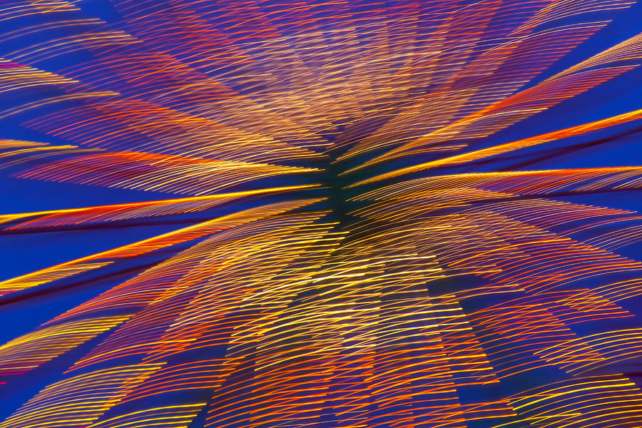 Moving abstract lights Photograph by Garry Gay