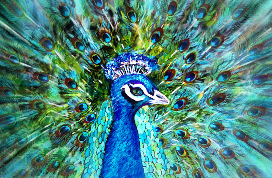 Peacock Mixed Media - Mr. Poppycock... by Tanya Tanski